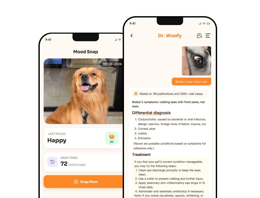 AI Vet chat and mood snap features