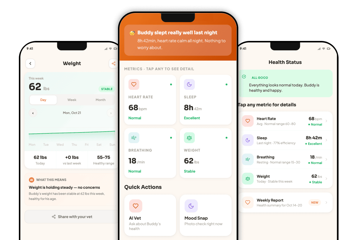 WoafyPet app showing weight tracking, daily health summary, and health status screens