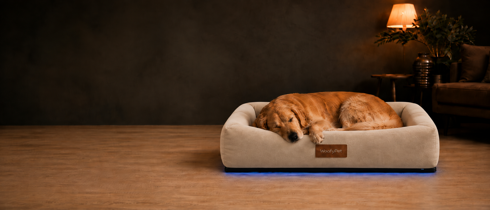 Golden Retriever resting on WoafyPet Bed in a warm home